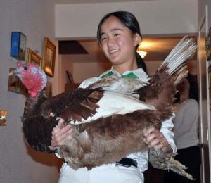 Janelle Thode, in her 4-H uniform, shows off one of her turkeys: Photo by Slow Food Russian River
