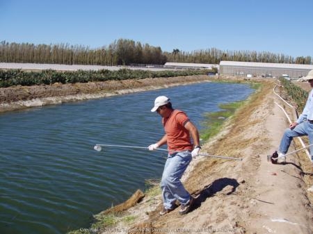 A man holding a 6-foot pole pulls water samples from an irrigation canal while another man observes.