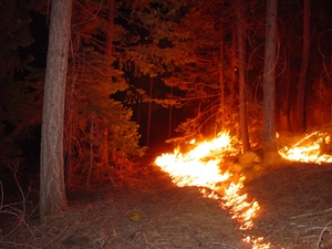 firefuel-burn300