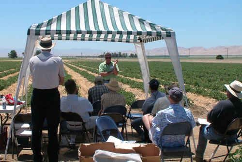 Steve Fortner addressing visitors to Sun Pacific’s fresh market tomato farm at ‘first ever’ strip-till tomato field.