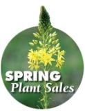 springplantsalesbutton 001 e-mail
