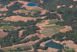 Aerial view of Sonoma vineyards