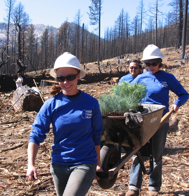 Replanting Conservancy land after dead tree removal, September 2007.
