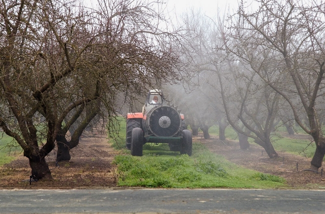 A target-sensing smart sprayer travels between the rows of a Modesto almond orchard.