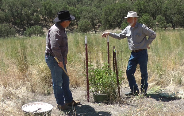 Natural resources advisor Royce Larsen, left, and rancher George Work discuss the growth of an elderberry in a Waterboxx.
