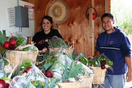 Students preparing food baskets at the UC Davis Student Farm (Photo: Ann Filmer)