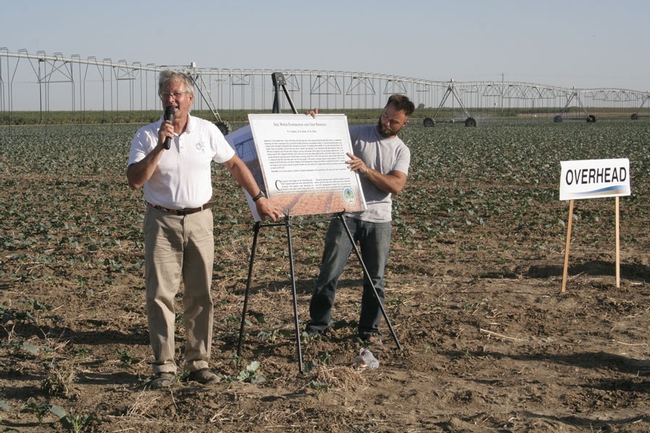 Jeff Mitchell presents research updates on a broccoli field with overhead irrigation.