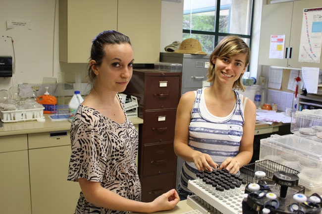 Lea Marquez of Nice, France, and Marion Mimbielle of Pau, France, are graduate students from Western Brittany University studying microbiology and food safety in the Michaides lab for the summer.