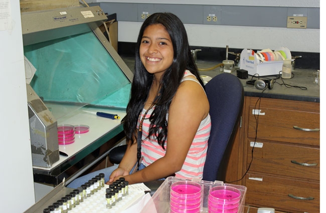 Camarina Morales, a student at Orange Cove High School serving a summer internship at Kearney, is shown studying soil samples in the plant pathology lab.