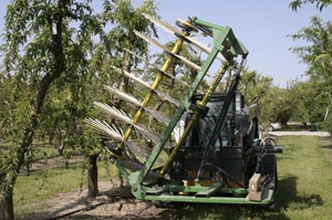 Mechanical fruit thinning may prove to be a money-saving device for farmers.