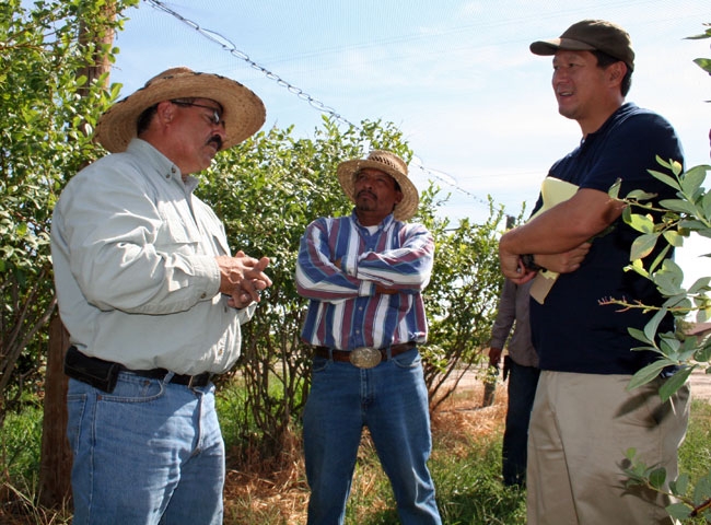 Manuel Jimenez, left, speaks with farmers Miguel Jaramillo Garcia and Young Kwun.