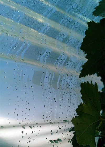 When its not raining, condensation forms under the plastic.