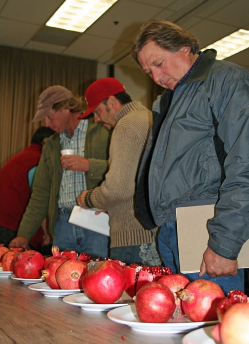 Growers view pomegrantes at Kearney Nov. 29.