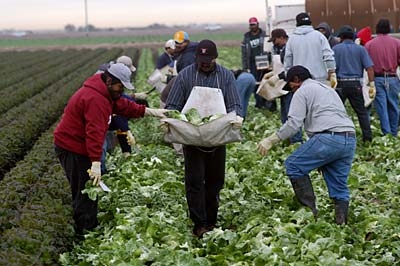 FarmWorkers Aids