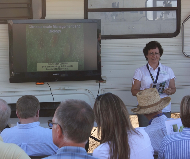 Beth Grafton-Carwell uses the mobile laboratory to lecture on citricola scale management