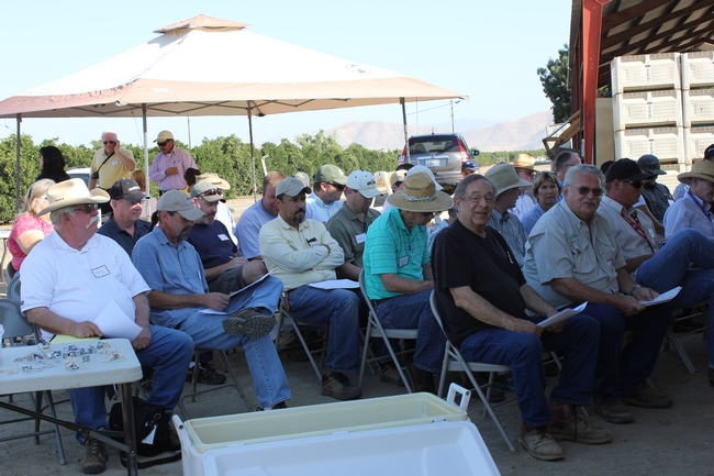 Audience of PCAs and growers attending the field day