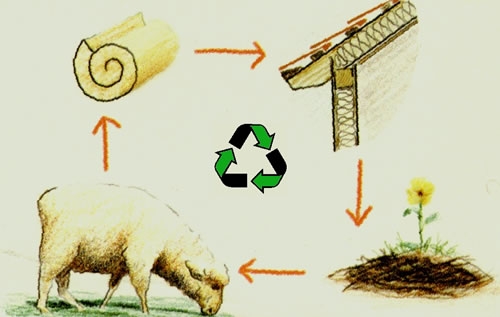 whywool lifecycle