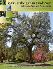Oak book cover