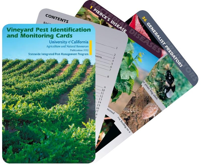 Vineyard Pest ID cards-2011
