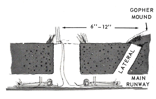 Figure 2. Traps