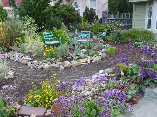 two blue chairs flank a garden path loaded with plants that flower or are interesting in form.