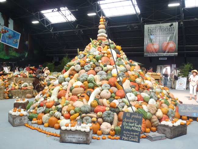 pyramid of various varieties of squash