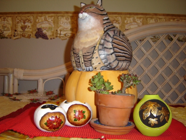 cat atop a pumpkin-yes, they are gourds!