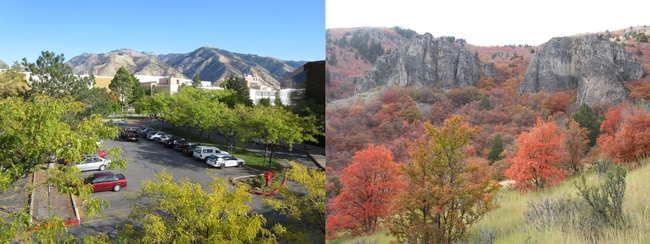 Utah State University campus, Logan & fall colors in Logan Canyon