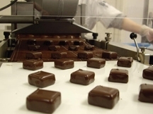 Una docena de dulces bañados en chocolate salen de la línea de producción