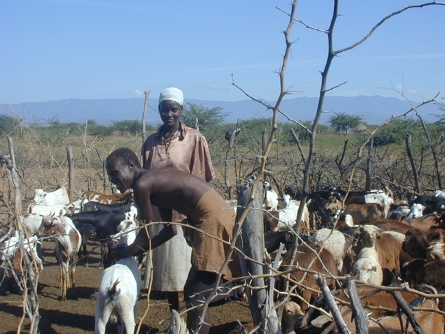 Pastores de cabras en Kenia. (Fotografía por Christopher Barrett)
