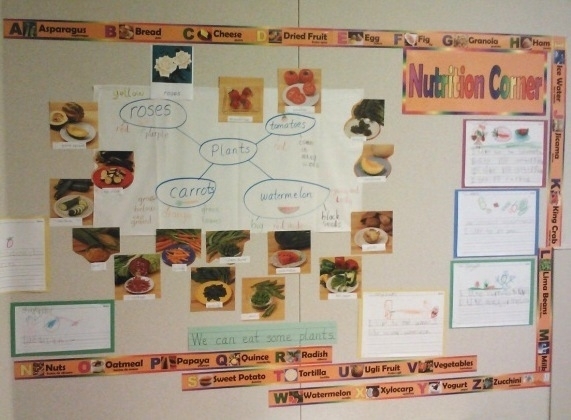 Estudiantes de la primaria Ayer aprenden sobre las partes de plantas que son comestibles.