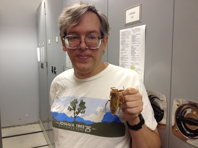 Douglas Yanega es el principal científico del Museo de Investigación Entomológica en UC Riverside. Aquí se le ve posando con una chinche de agua, un insecto comestible.