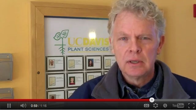 UCCE farm advisor Cass Mutters on YouTube.