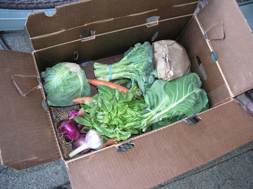 A box of vegetables prepared for a CSA subscriber. Multi-farm CSAs are a way to achieve incremental growth,