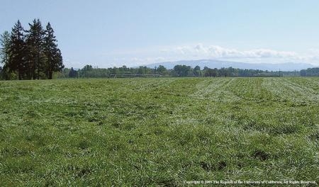 The new law is mainly geared toward irrigated pasture.