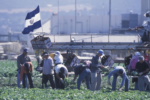 farmworkers