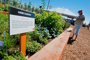 A Food and Farm Lab is part of the Great Park's first phase of development.