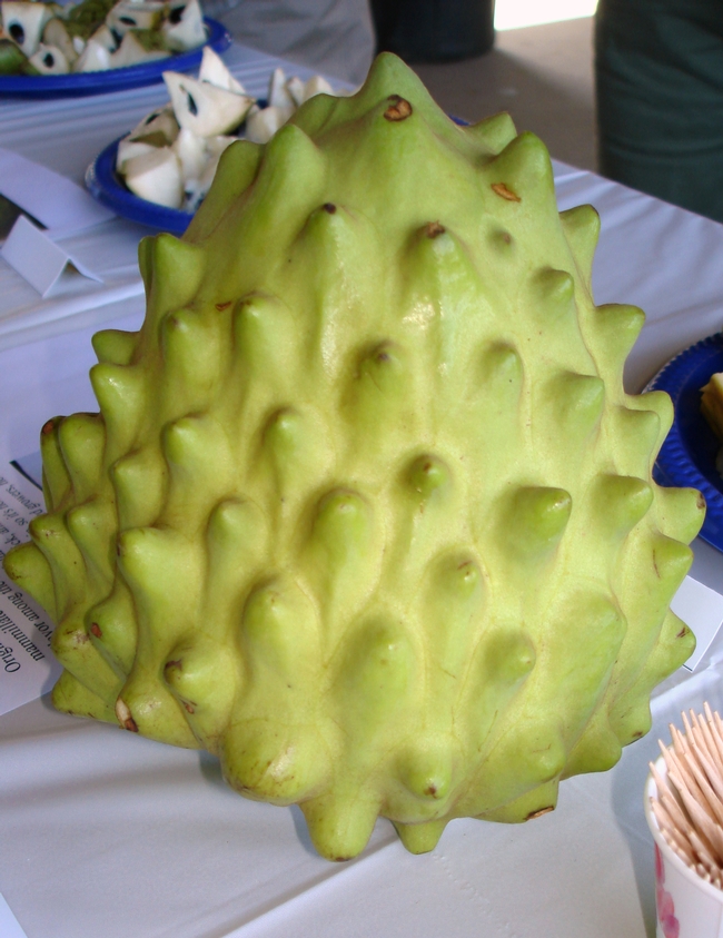 Close-up of a large, green, bumpy fruit.