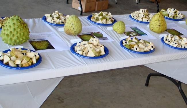 Table with plates of chopped up fruit and whole fruit on display.