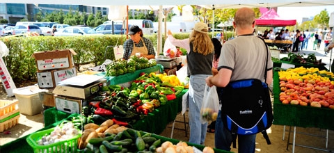 people shopping at a farmers' market