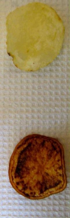 Photo shows two potato chips: one from a healthy tuber (top) and the other from an infected tuber.