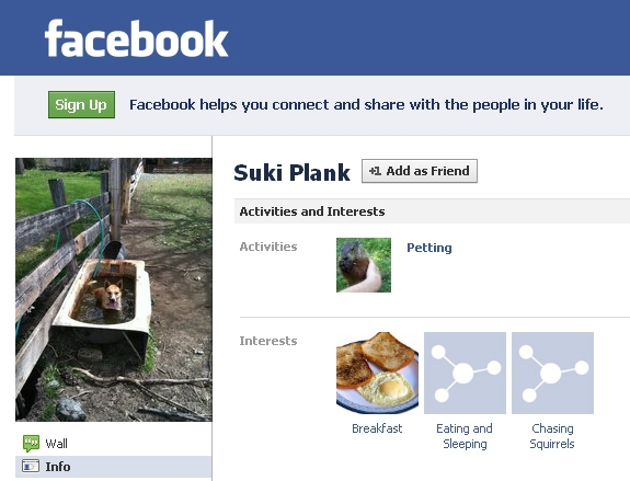 Screenshot of Suki the ranch dog's account in Facebook.