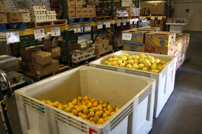 Harvest bins of citrus fruit sit in the Food Bank warehouse aisle between shelved pallets of canned beans, pasta, and other canned and dry goods.