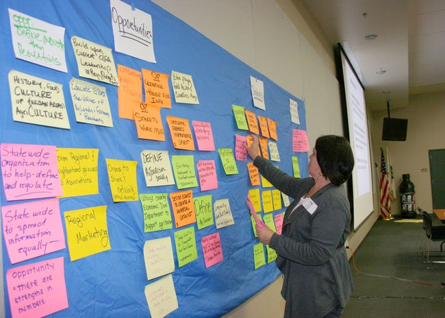 Participant Maggi Baum adds notes from her group to the statewide idea board at the statewide agritourism summit. (Photos by Brenda Dawson)