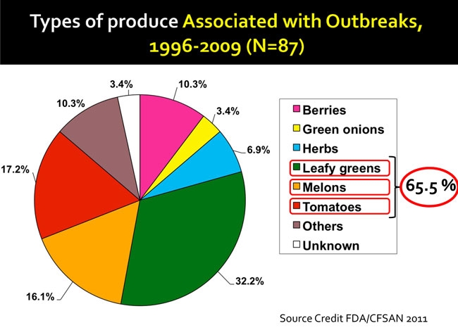 Pie graph: Types of produce associated with outbreaks, 1996-2009. Categories of leafy greens, melons and tomatoes combined are associated with 65% of outbreaks. Source credit FDA/CFSAN 2011.