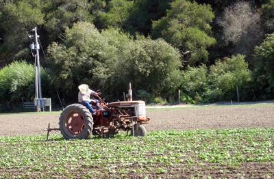 Farmer on tractor in field