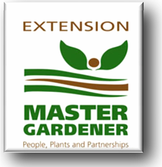 EXtension logo