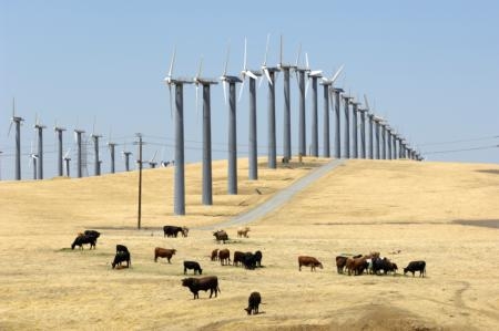 Some U.S. food producers are expanding their businesses to include renewable energy development.