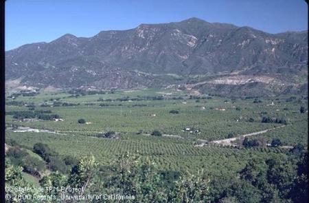 UC Davis agroterrorisim trainings include recommended response protocol to intentional contamination and contamination caused by natural disasters. Photo of Ojai Valley by Jack Kelly Clark.