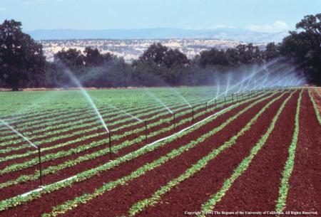 For most farms, adopting conservation cropping sequences or changing the way you manage your irrigation water will provide the quickest and most economical means of reducing pollution by sediment.